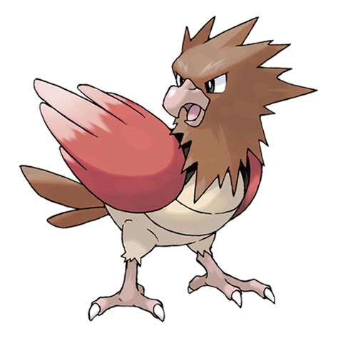 where to get kenya the spearow|Spearow (Pokémon) .